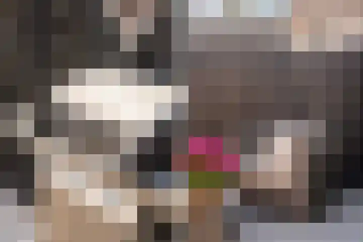 Eikeboomstraat 16 Zwijndrecht thumbnail 31