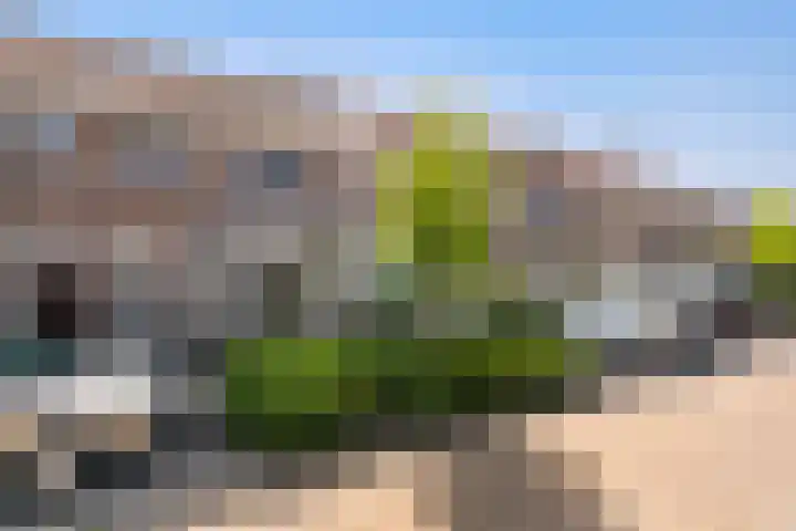 Eikeboomstraat 16 Zwijndrecht thumbnail 32