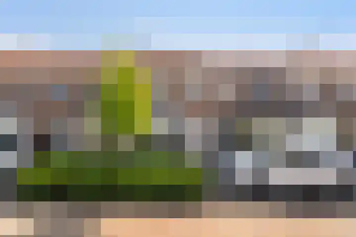 Eikeboomstraat 16 Zwijndrecht thumbnail 6
