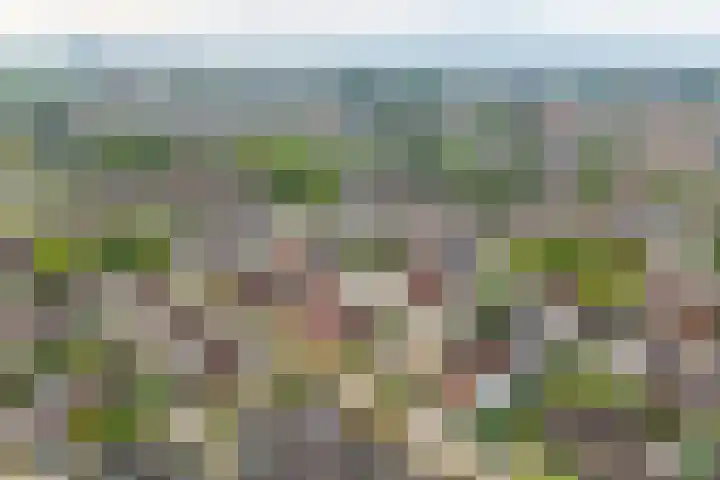 Eikehof 13 Landgraaf thumbnail 25