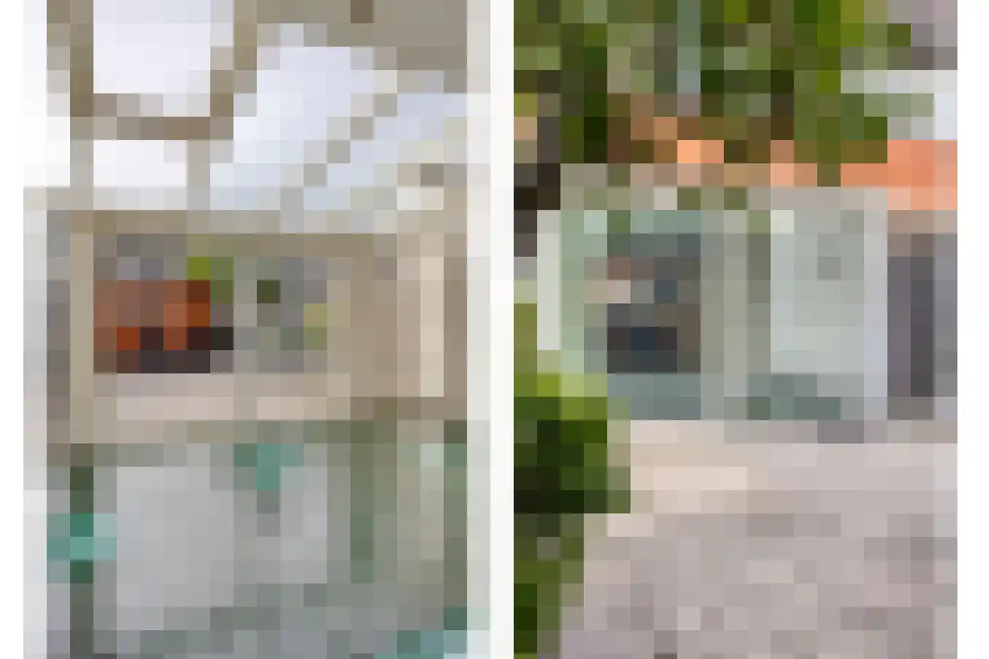 Eikehout 7 Zoetermeer thumbnail 10