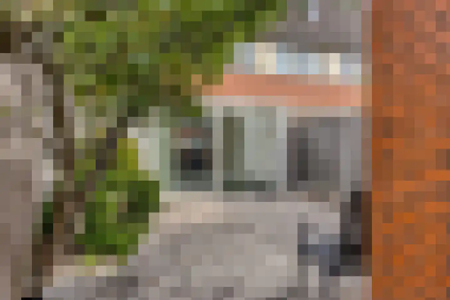 Eikehout 7 Zoetermeer thumbnail 13