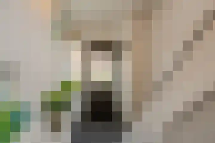 Eikelaan 55 Krommenie thumbnail 11