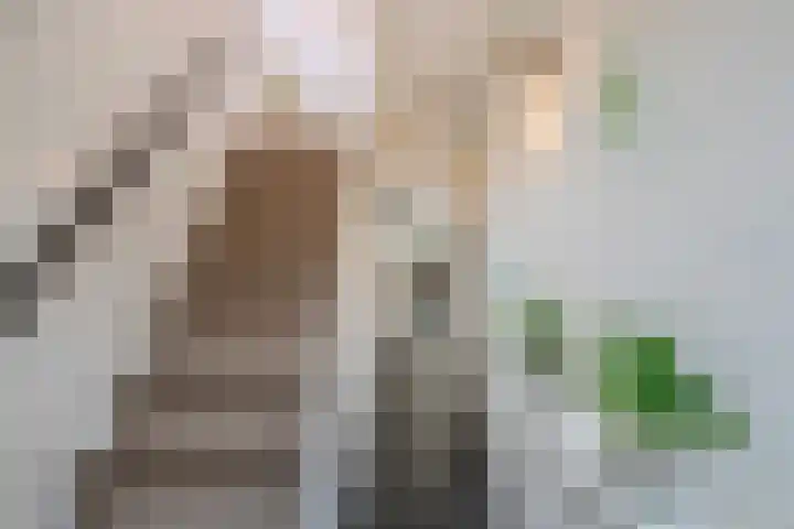 Eikelaan 55 Krommenie thumbnail 12