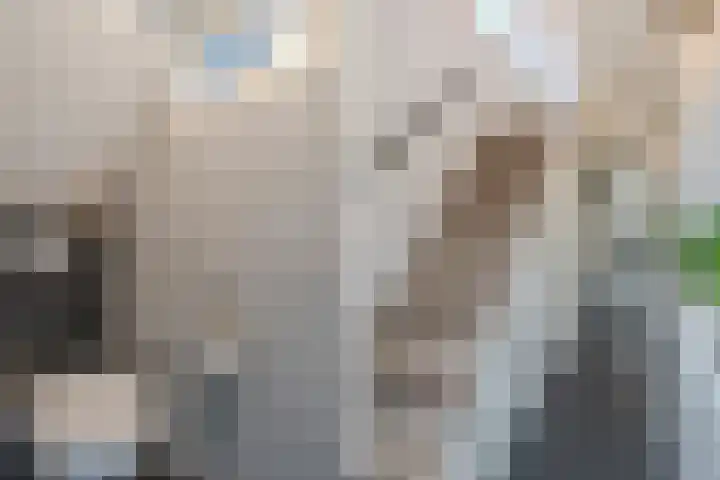 Eikelaan 55 Krommenie thumbnail 13