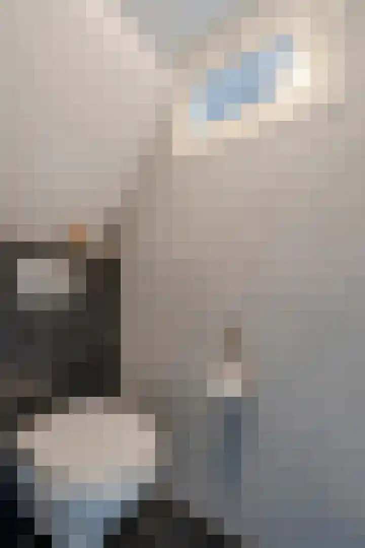 Eikelaan 55 Krommenie thumbnail 14