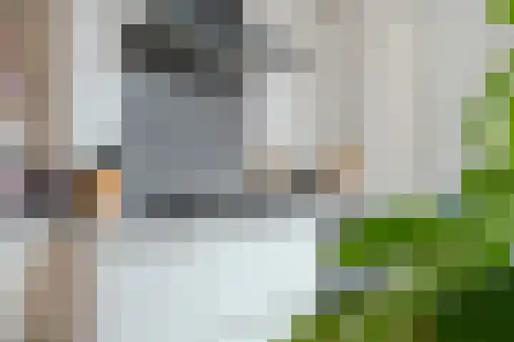 Eikelaan 55 Krommenie thumbnail 18