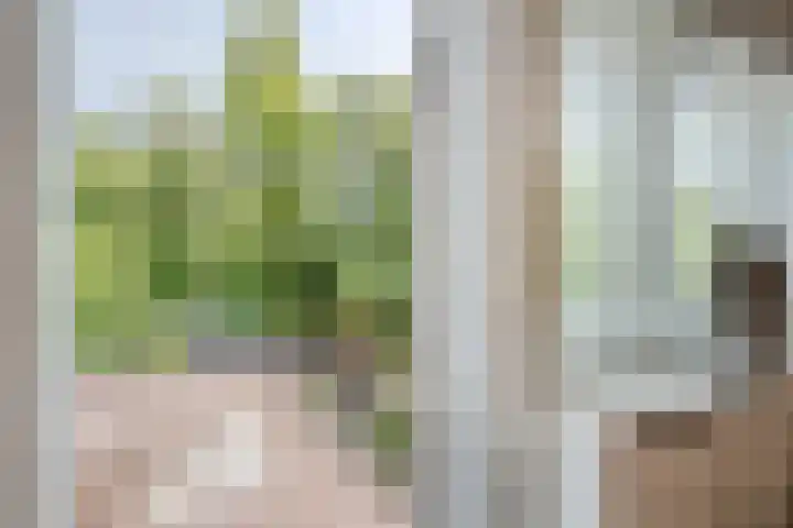 Eikelaan 55 Krommenie thumbnail 37