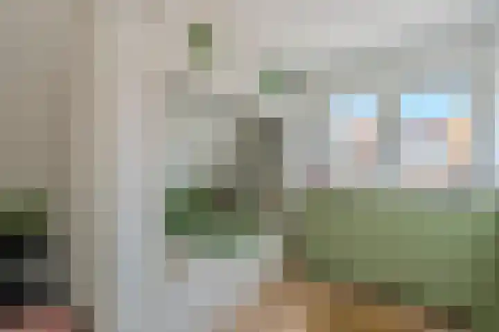 Eikelaan 55 Krommenie thumbnail 42