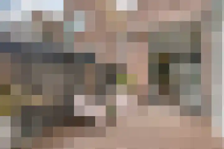 Eikelaan 55 Krommenie thumbnail 46