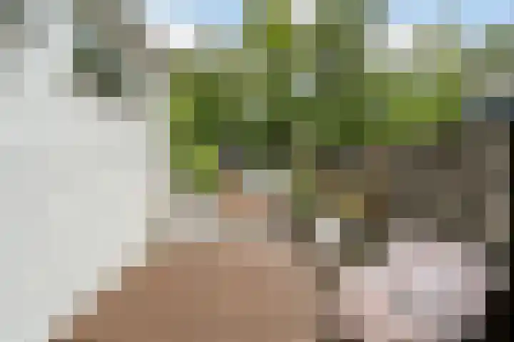 Eikelaan 55 Krommenie thumbnail 47