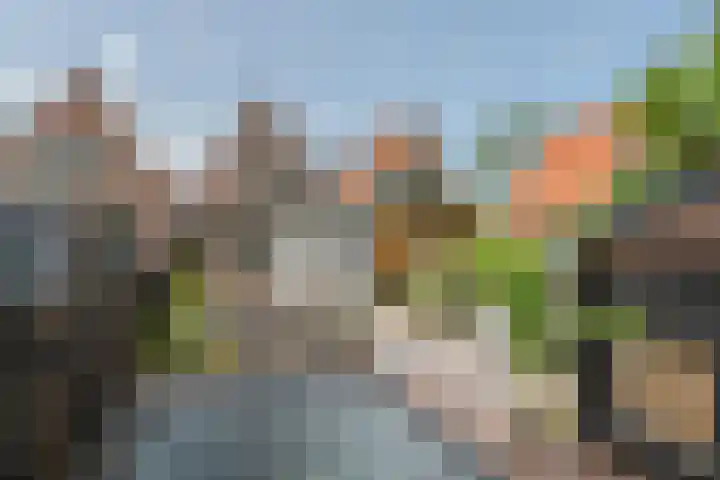 Eikelaan 55 Krommenie thumbnail 48