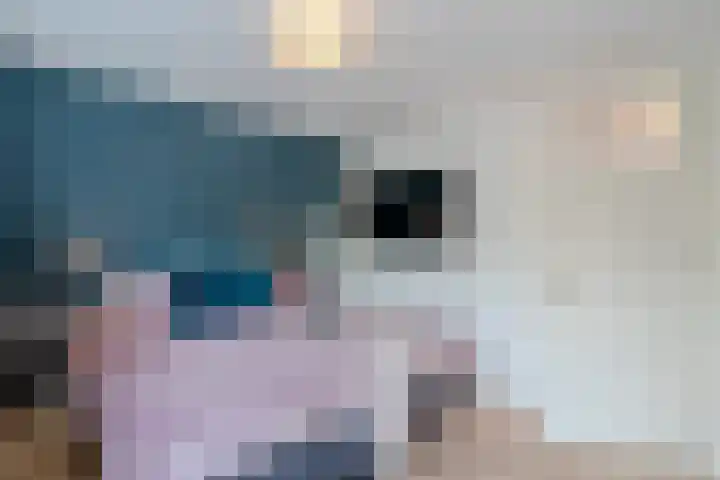 Eikelaan 55 Krommenie thumbnail 5
