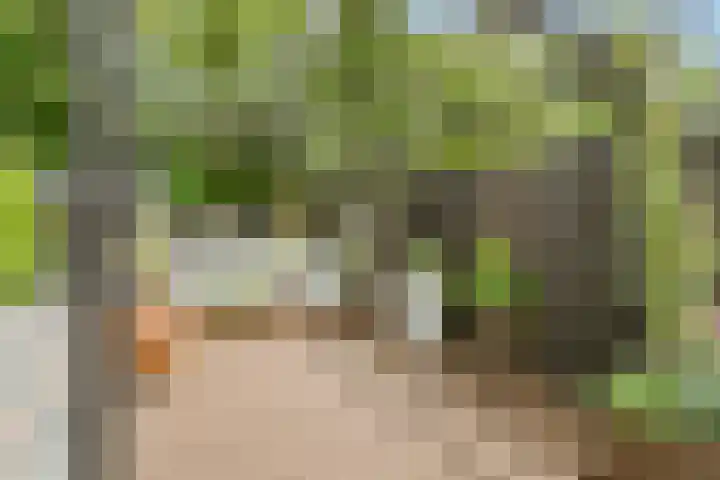 Eikelaan 55 Krommenie thumbnail 51