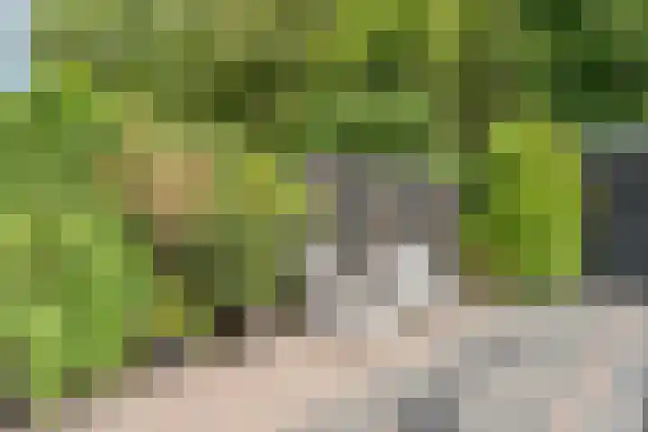 Eikelaan 55 Krommenie thumbnail 53