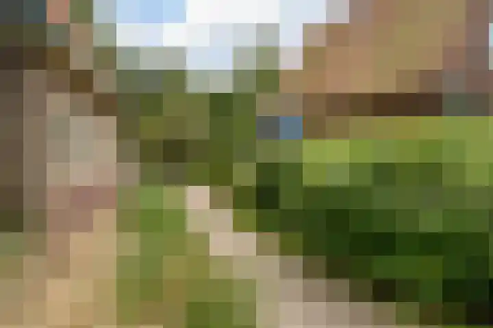 Eikelaan 55 Krommenie thumbnail 54