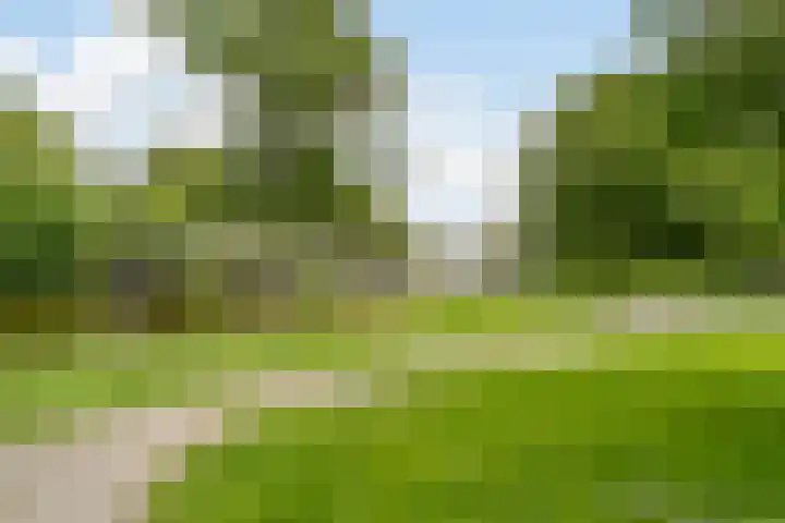 Eikelaan 55 Krommenie thumbnail 55