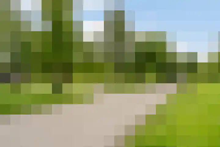 Eikelaan 55 Krommenie thumbnail 56