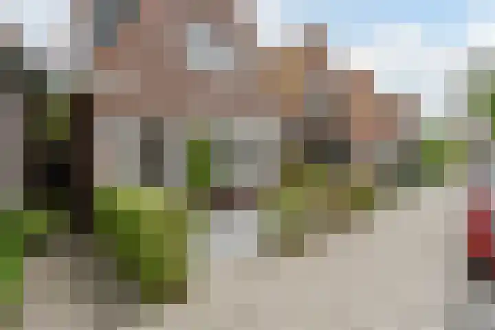 Eikelaan 55 Krommenie thumbnail 7