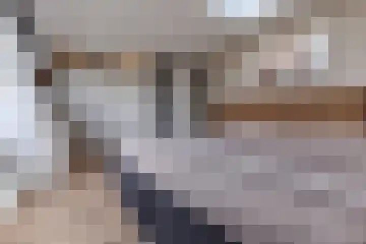 Eikelaan 72 Krommenie thumbnail 22