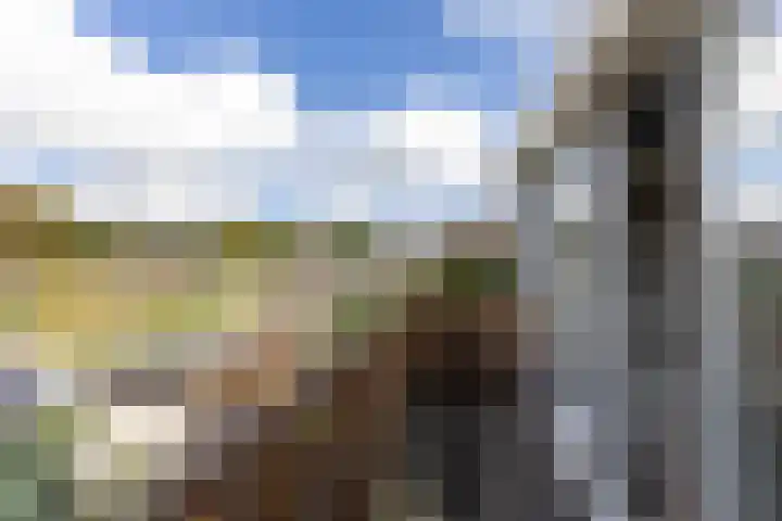 Eikelaan 72 Krommenie thumbnail 23