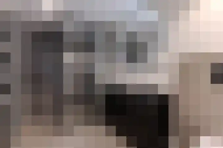 Eikelaan 72 Krommenie thumbnail 25