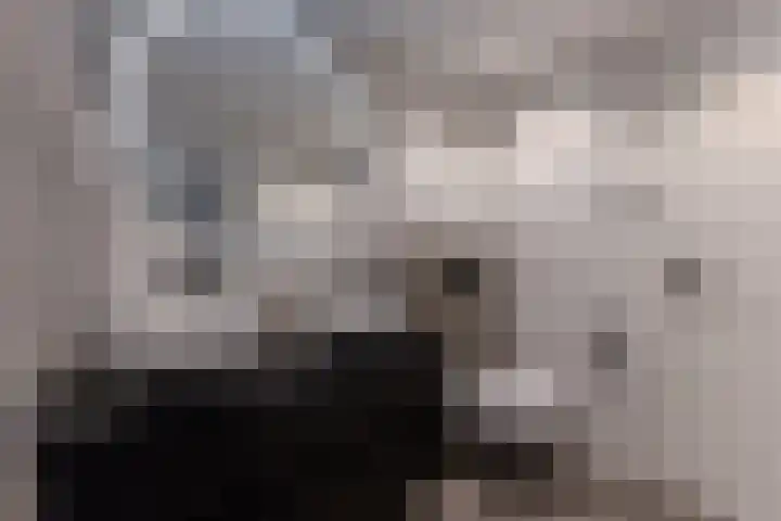 Eikelaan 72 Krommenie thumbnail 26