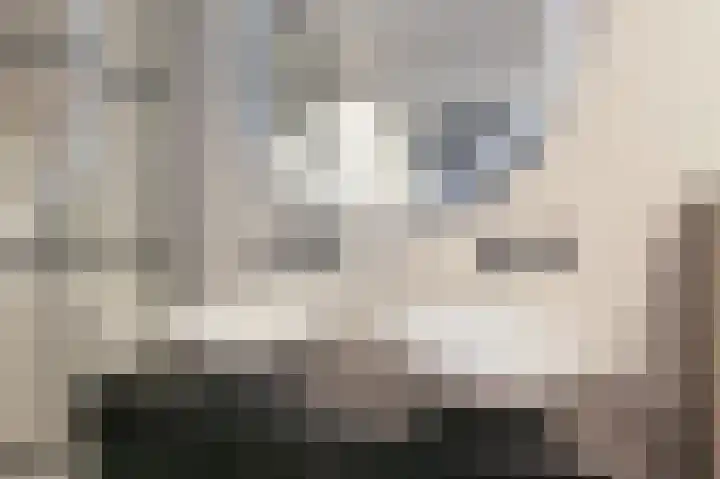 Eikelaan 72 Krommenie thumbnail 27