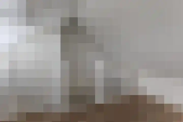 Eikelaan 72 Krommenie thumbnail 33