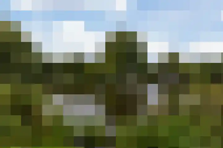 Eikelaan 72 Krommenie thumbnail 38