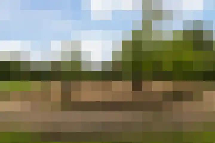 Eikelaan 72 Krommenie thumbnail 39