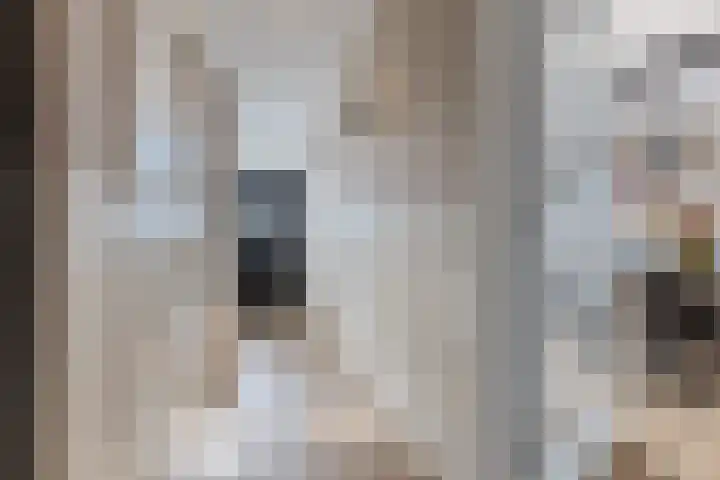 Eikelaan 72 Krommenie thumbnail 7