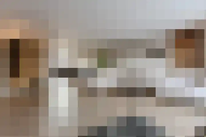 Eikelaan 72 Krommenie thumbnail 9