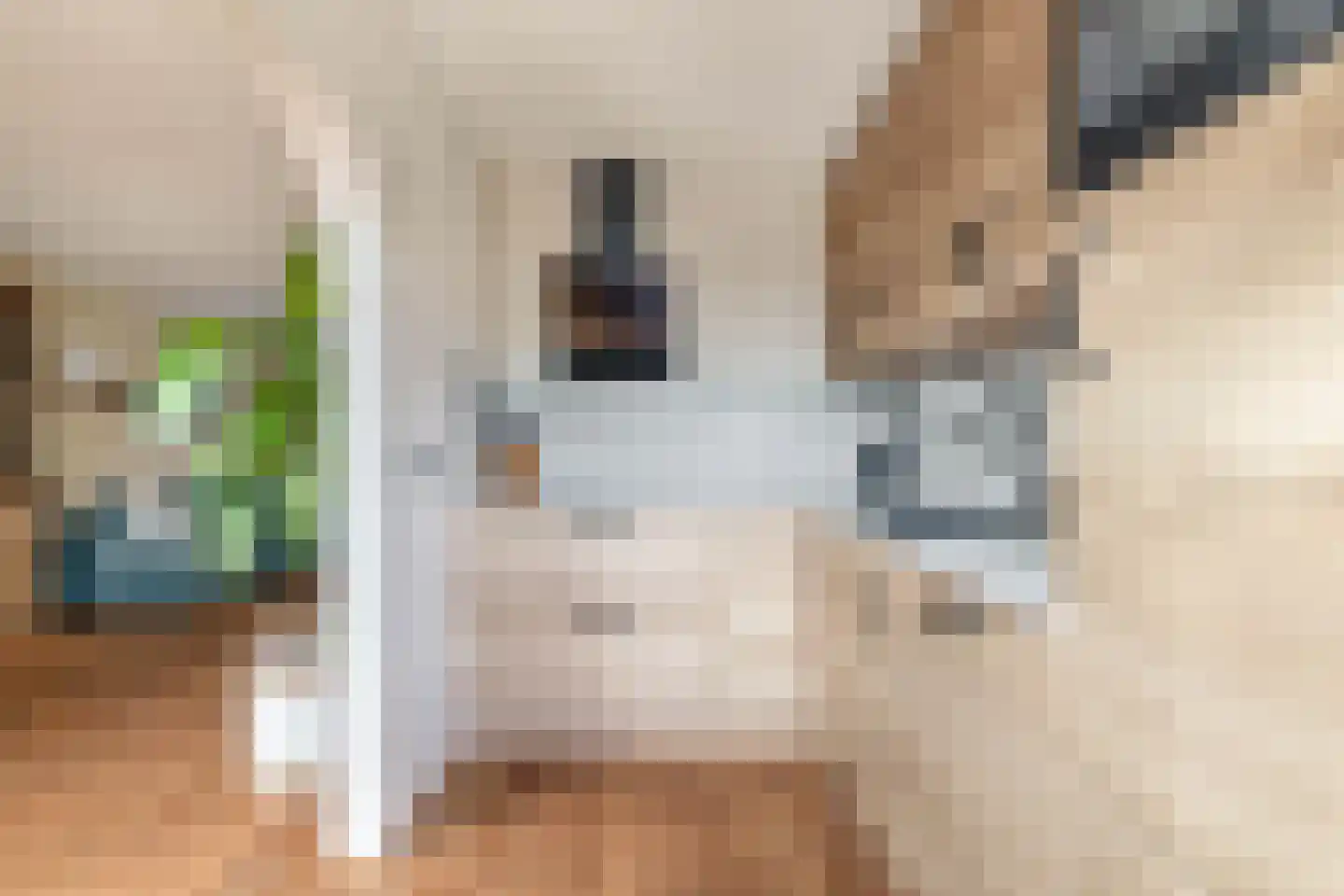 Eikelaan 81 Krommenie thumbnail 21