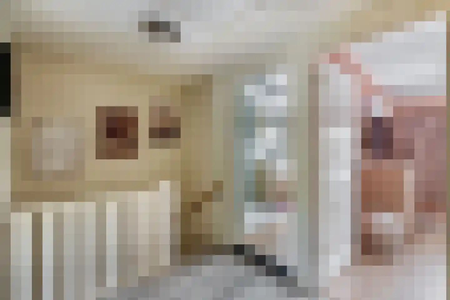Eikelaan 81 Krommenie thumbnail 23