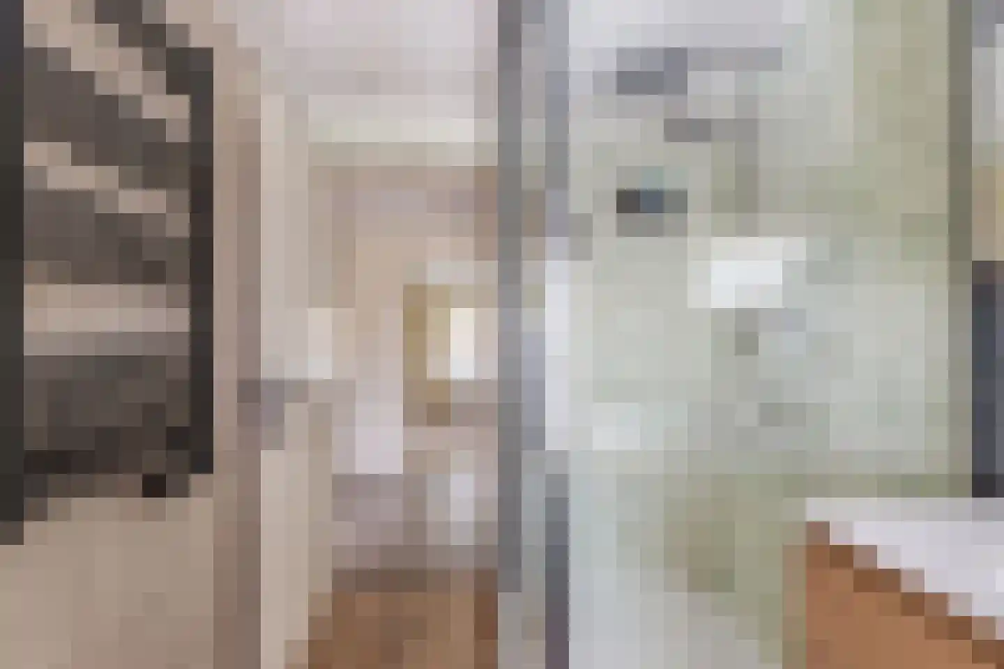Eikelaan 81 Krommenie thumbnail 27