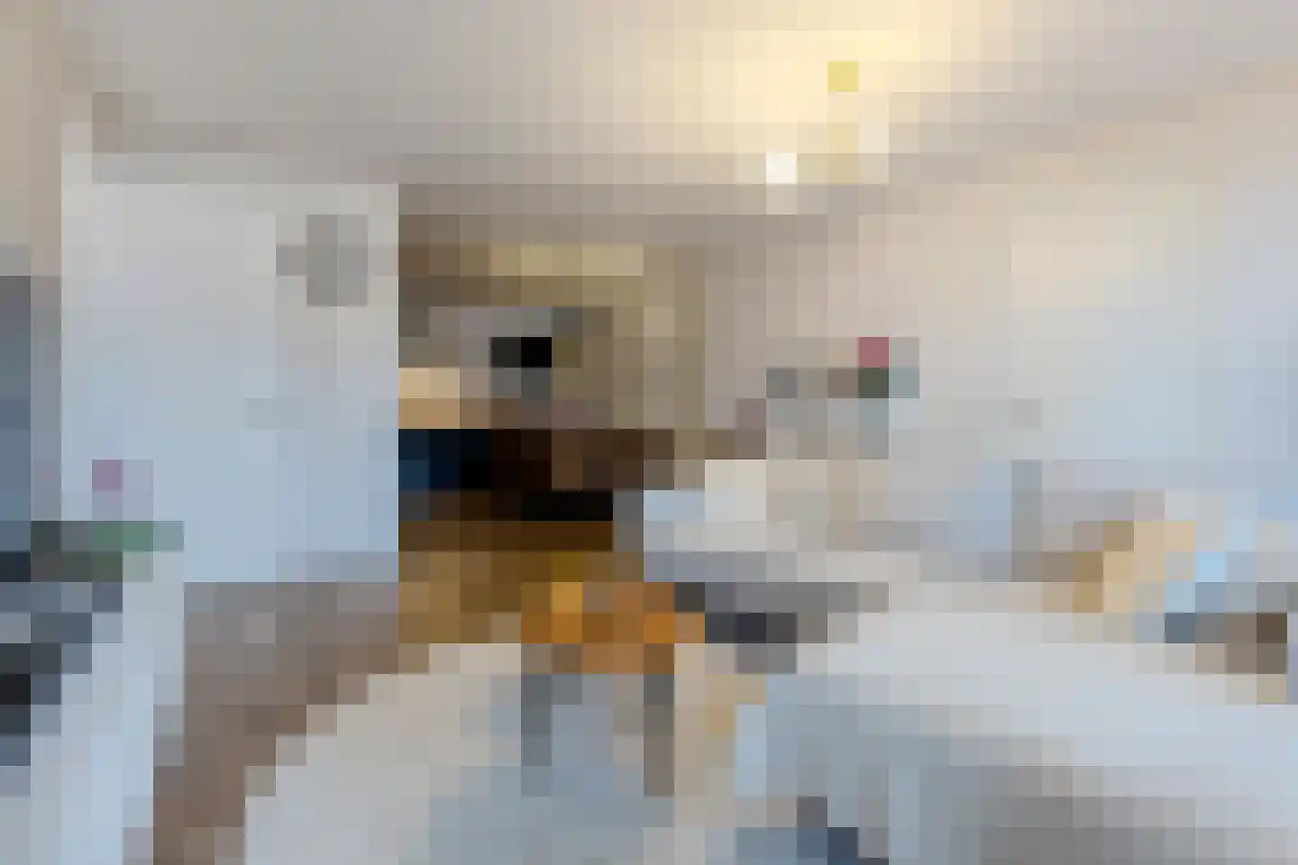 Eikelaan 84 D Krommenie thumbnail 17