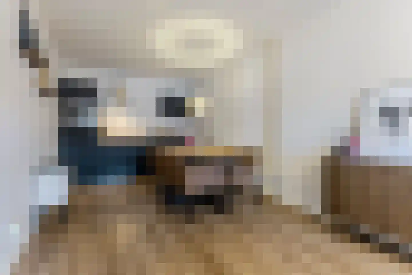 Eikelaan 84 D Krommenie thumbnail 20