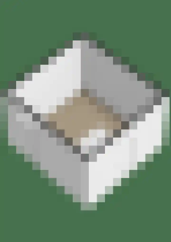 Eikelaan 86 Krommenie thumbnail 38