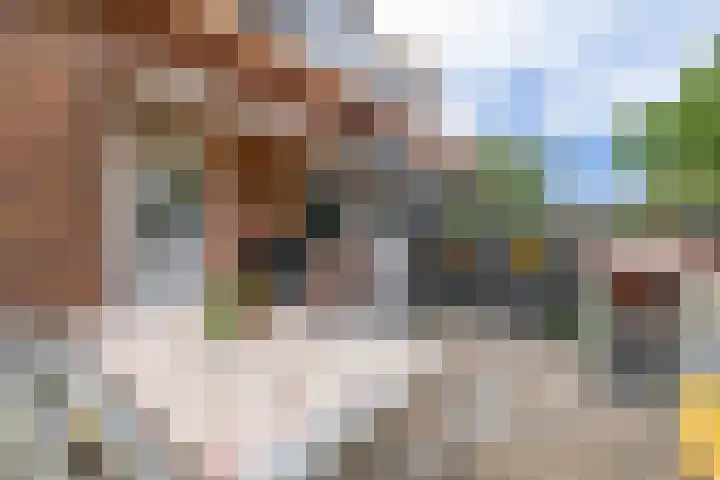 Eikelaan 86 Krommenie thumbnail 4