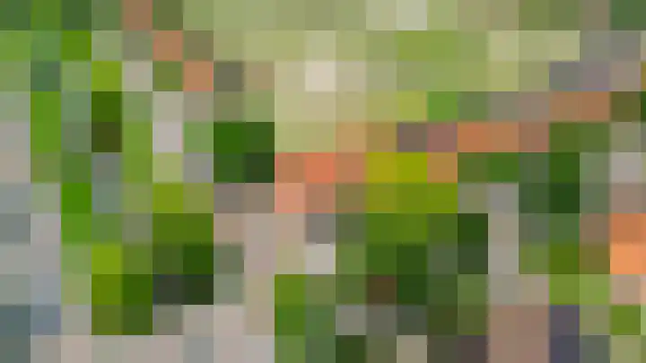 Eikelaan 86 Krommenie thumbnail 5