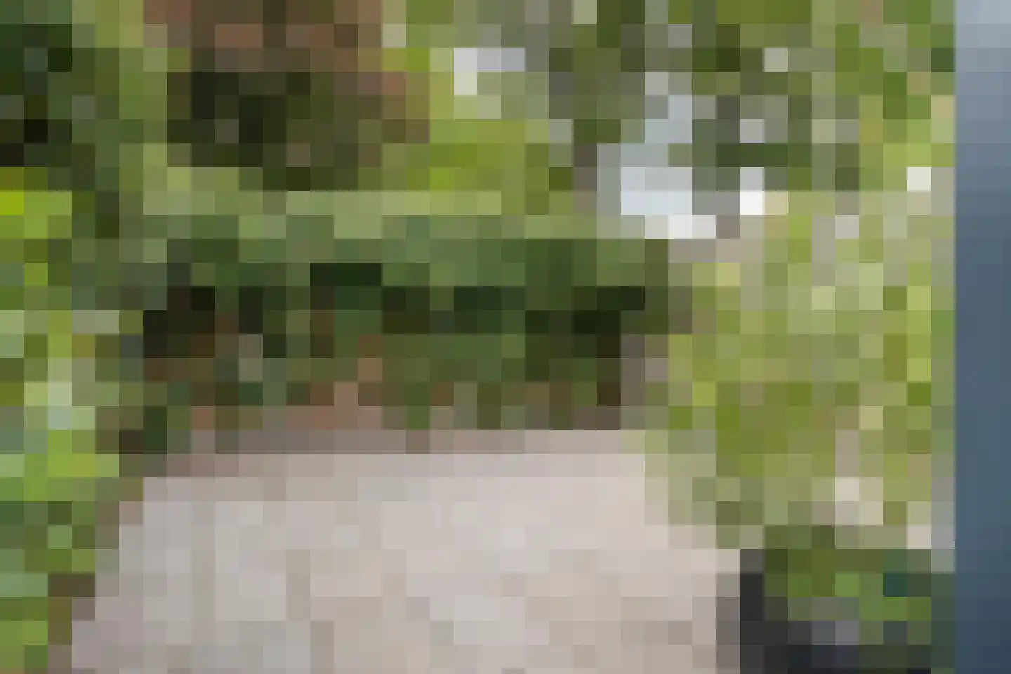Eikelhof 11 Ossendrecht thumbnail 54
