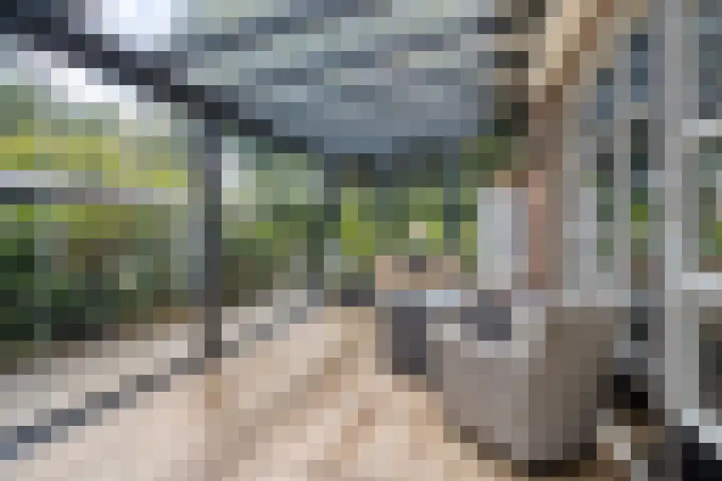 Eikelhof 11 Ossendrecht thumbnail 56