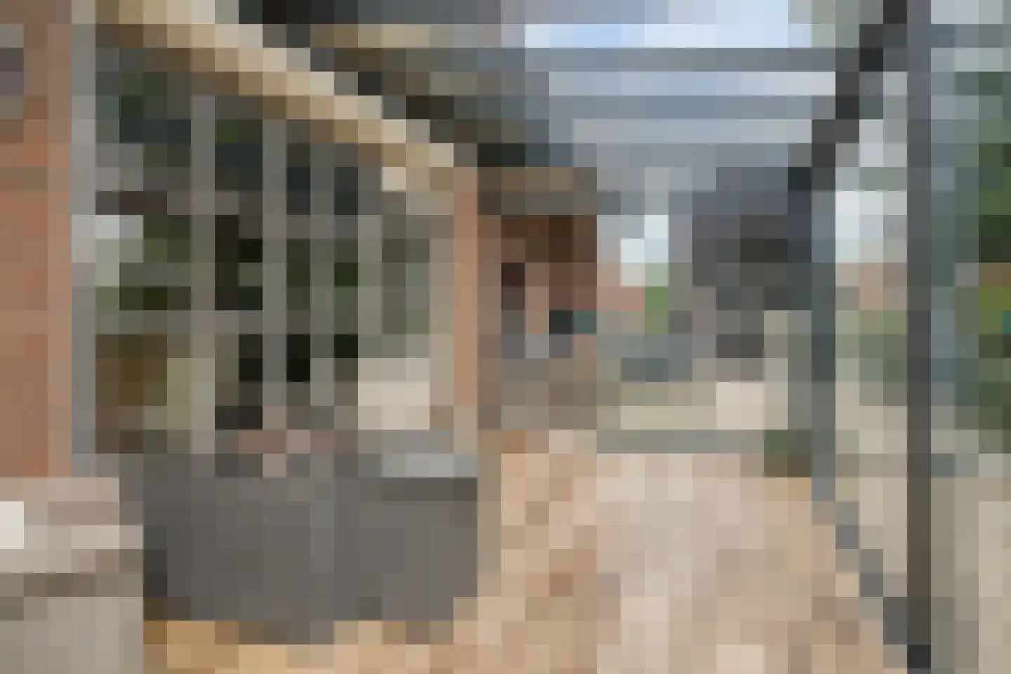 Eikelhof 11 Ossendrecht thumbnail 57