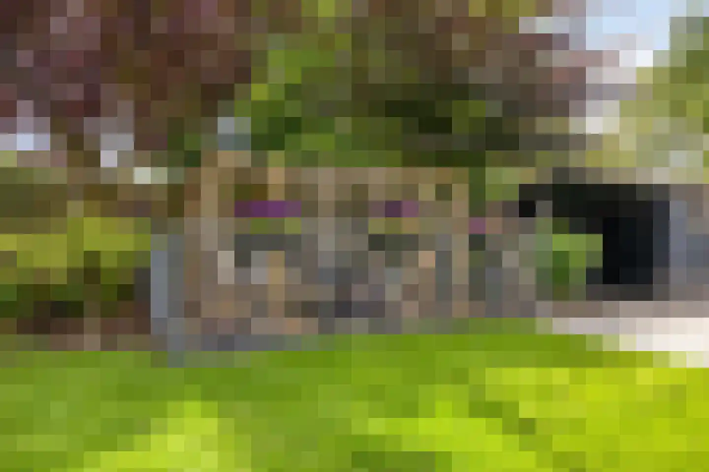 Eikelhof 11 Ossendrecht thumbnail 64