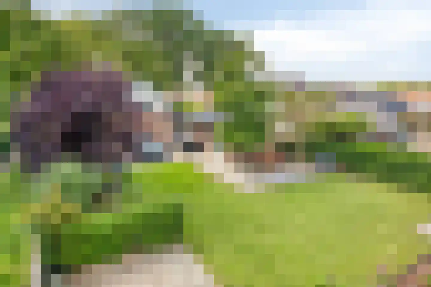 Eikelhof 11 Ossendrecht thumbnail 74