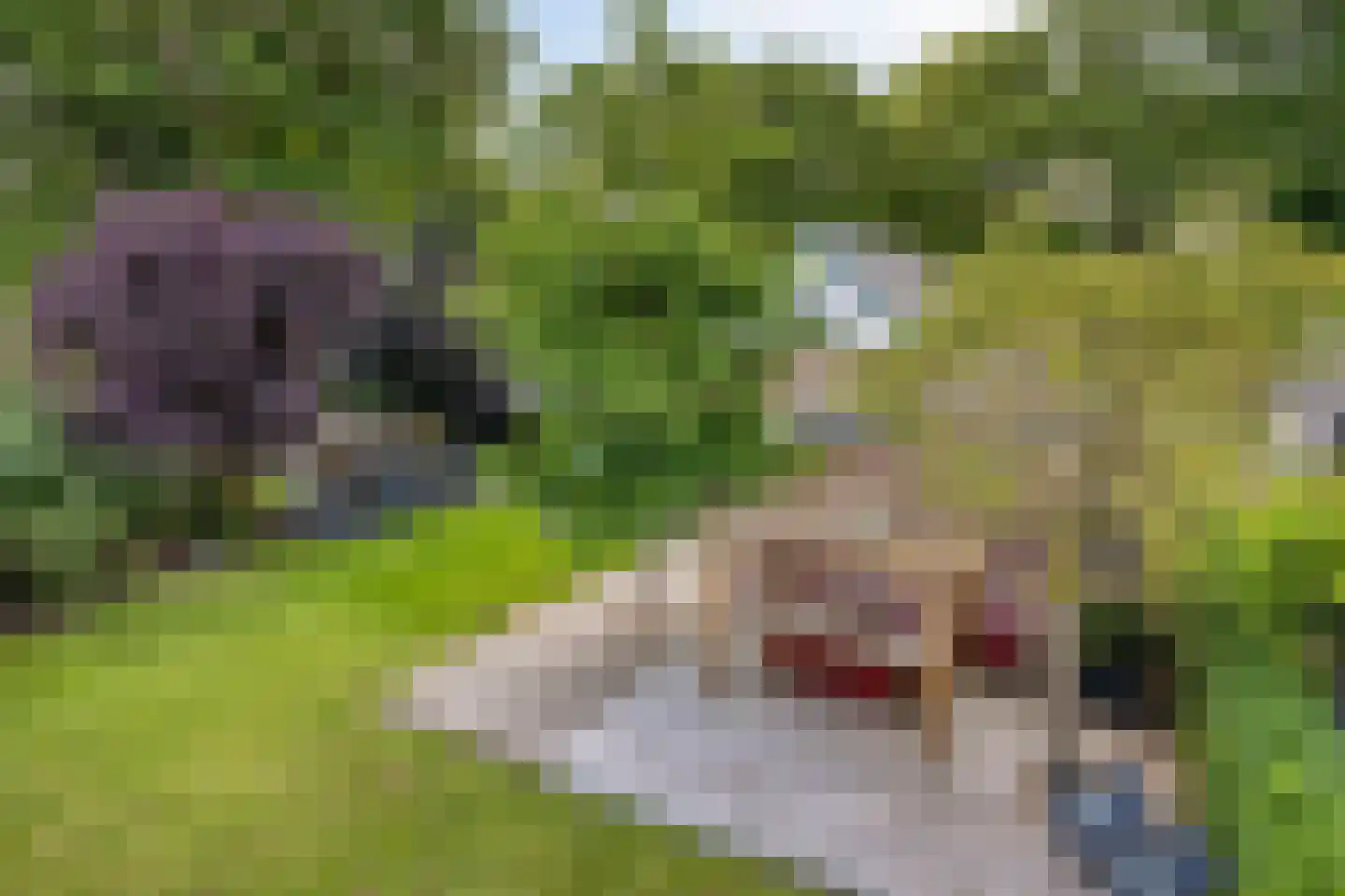 Eikelhof 11 Ossendrecht thumbnail 75