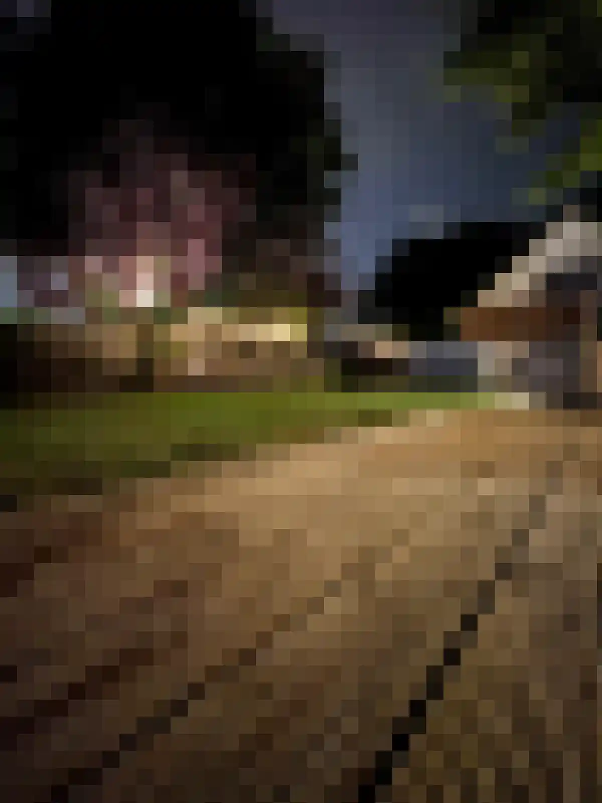 Eikelhof 11 Ossendrecht thumbnail 92