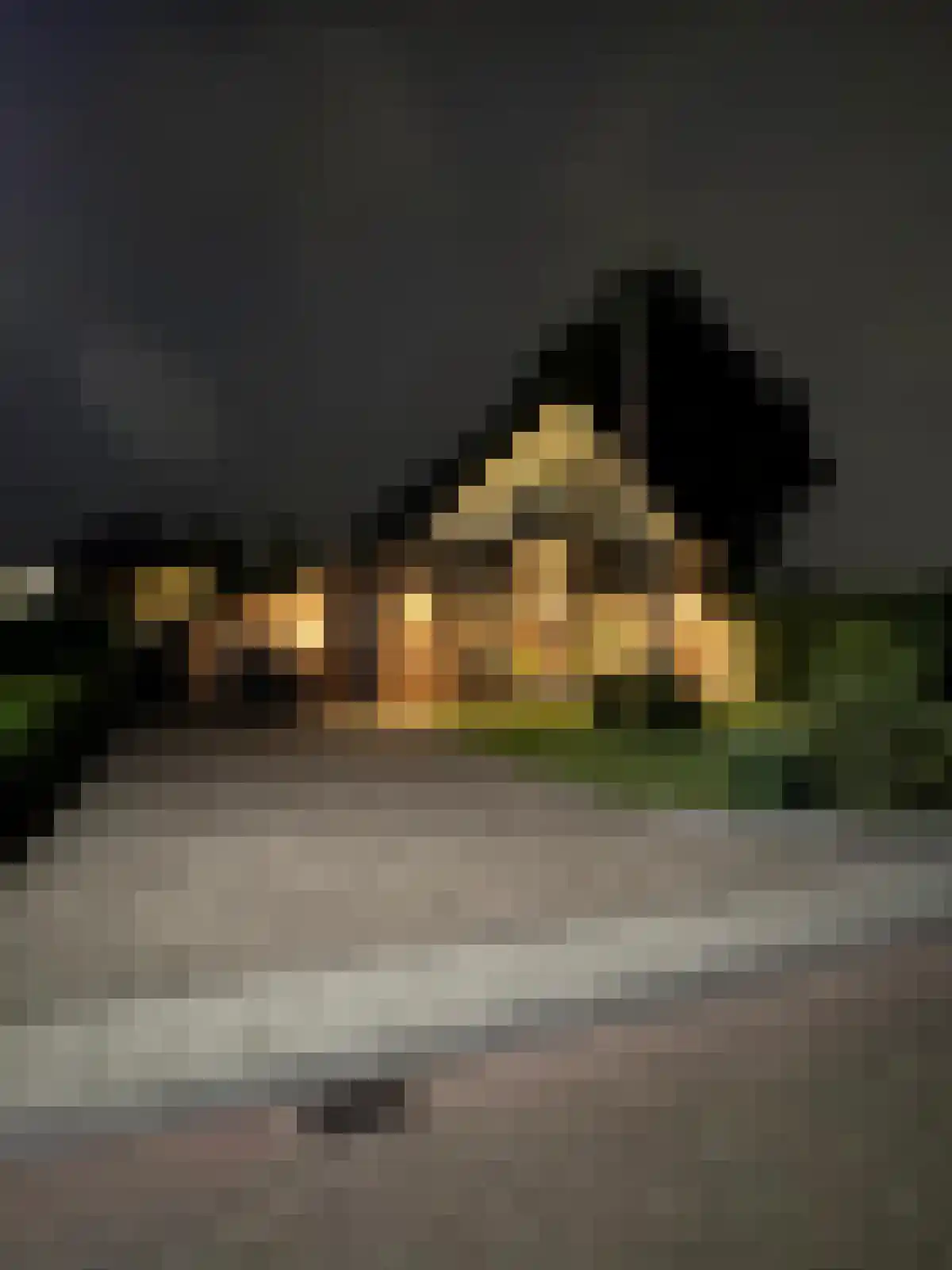 Eikelhof 11 Ossendrecht thumbnail 94