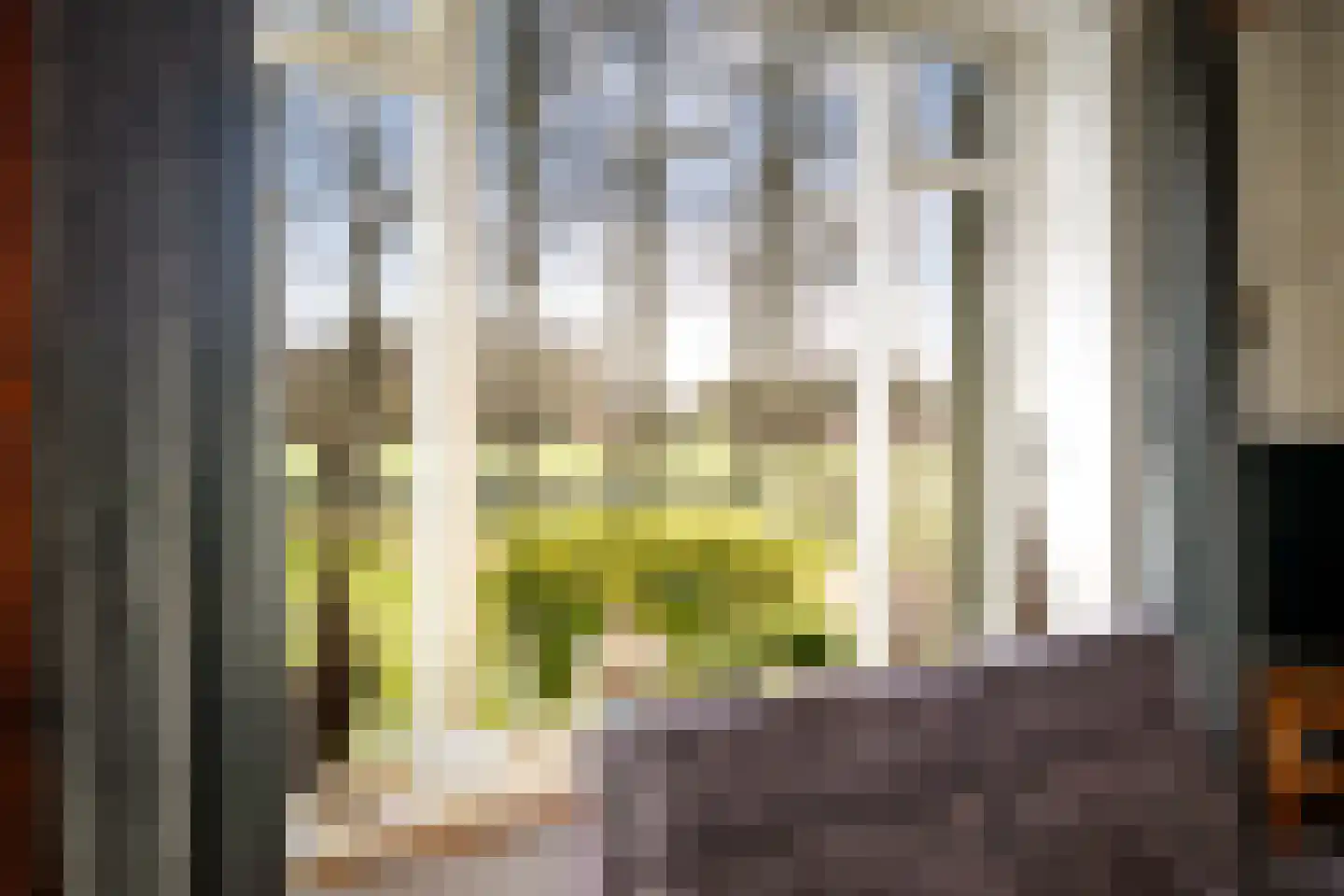 Eikelhofweg 21 Olst thumbnail 10